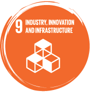 SDG 9